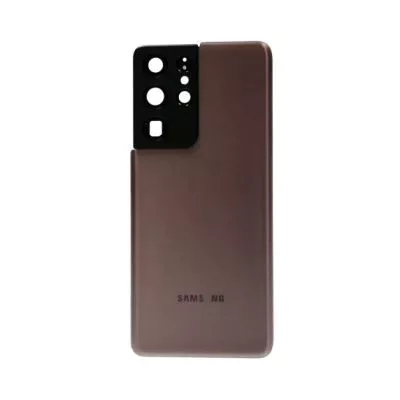 Samsung Galaxy S21 Ultra 5G Baksida - Guld