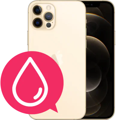 iPhone 12 Pro Max sanering vattenskada