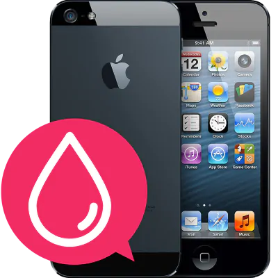iPhone 5 sanering vattenskada