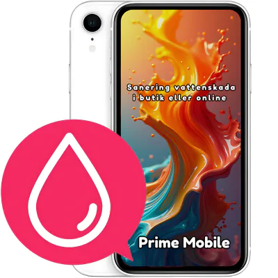 iPhone XR Sanering vattenskada